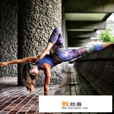 适合40到50岁的人的减肥方法？