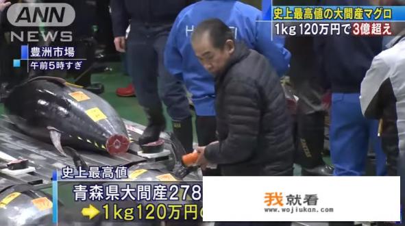 蓝旗黄旗金枪鱼哪个贵？