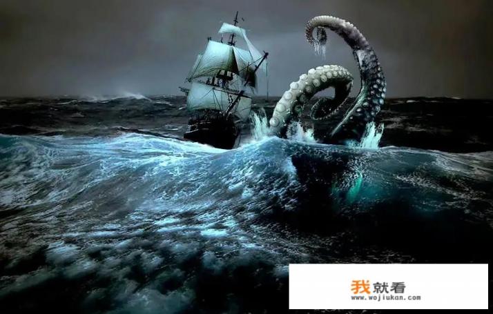 大王乌贼有多大？