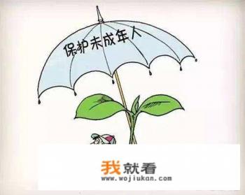 网络涉黑、网络性侵、网络欺凌……未成年人上网如何远离“危险区”？
