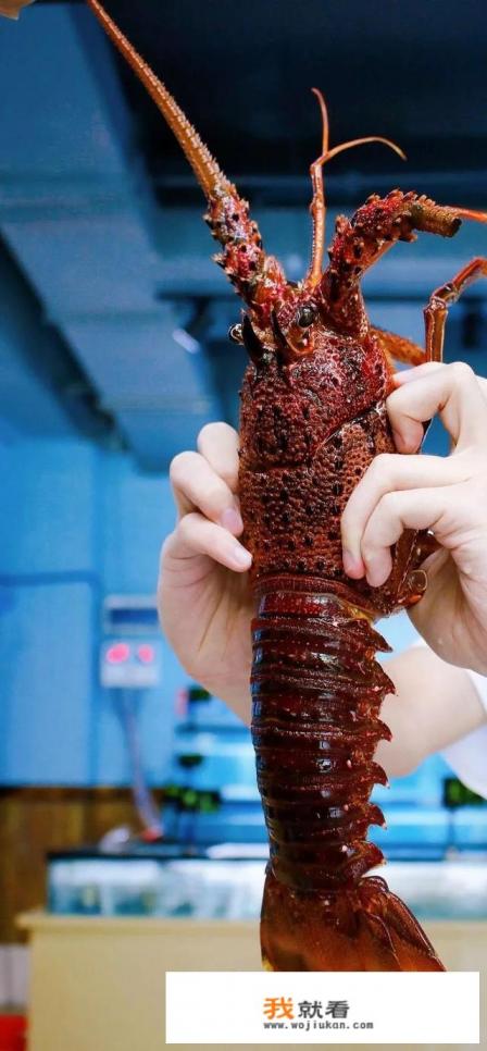 澳洲大龙虾怎么做？