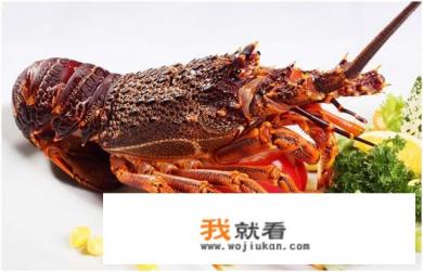 澳洲大龙虾怎么做？
