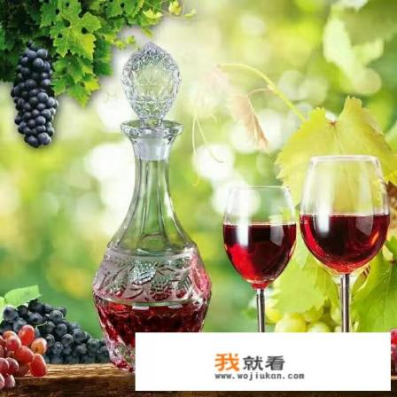 自酿葡萄酒有毒吗? 自酿葡萄酒有毒吗?