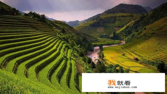 包粽子视频配什么音乐？