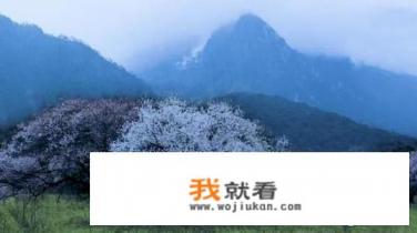 包粽子视频配什么音乐？