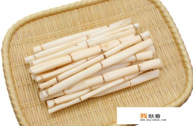 农村河边常见长着芦苇，那么芦苇根有什么作用与功效？