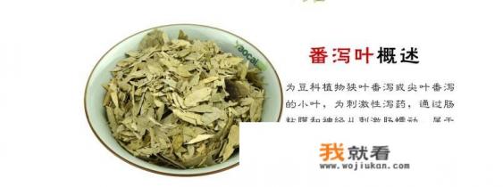 孕妇能用番泻叶吗？为什么？