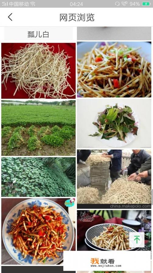 腌制折耳根保存方法？