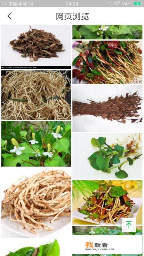 腌制折耳根保存方法？
