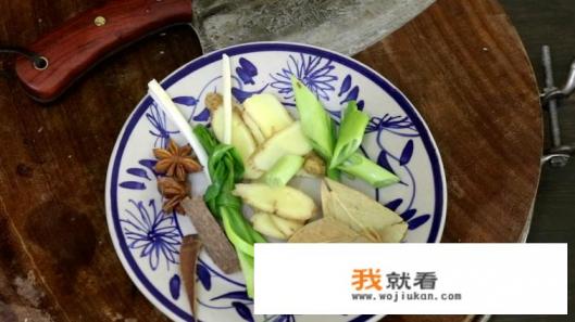 肉夹馍卤肉的做法？