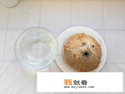 椰子鸡火锅正宗做法？