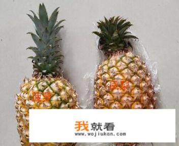 凤梨和菠萝是同一植物吗？