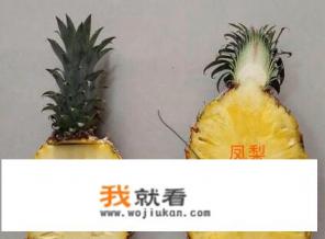 凤梨和菠萝是同一植物吗？