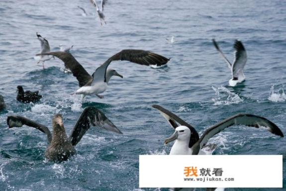 ww2激战海陆空怎么调中文？