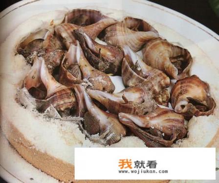 大田螺要怎么做才好吃？