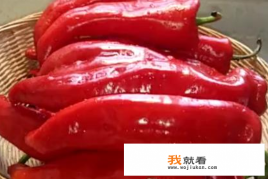 炒蚬子蒜蓉辣酱做法？
