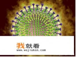 什么是冠状病毒？