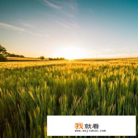 金针菇种植方法？
