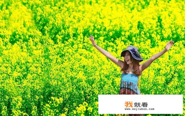 描写春天的6句优美的句子？