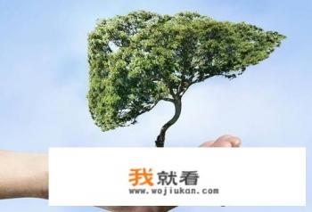 保肝护肝的方法有哪些？