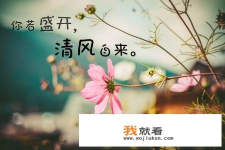 游戏为什么有那么多广告？