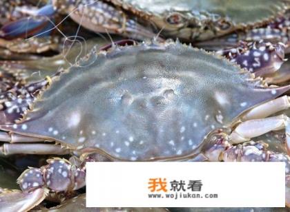 发财蟹蒸多久？