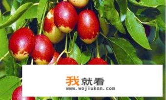 一天吃多少红枣合适？