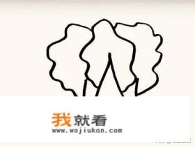 白菜简笔画怎么画？