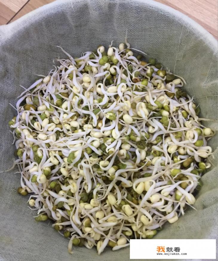 豆芽自制方法？