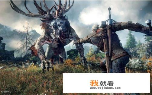 追踪者游戏w支线完结了吗？