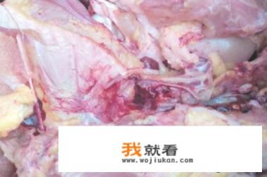 榴莲壳可以炖些什么汤？