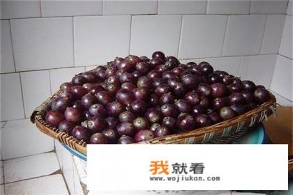 青葡萄自制葡萄酒的手法？