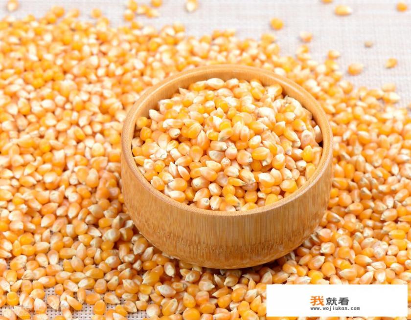 23年6月份玉米价格能上涨吗？