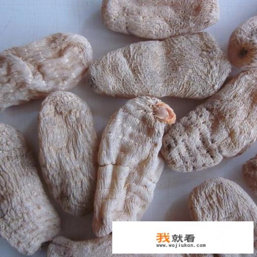天麻，三七，西洋参，丹参如何吃最好？