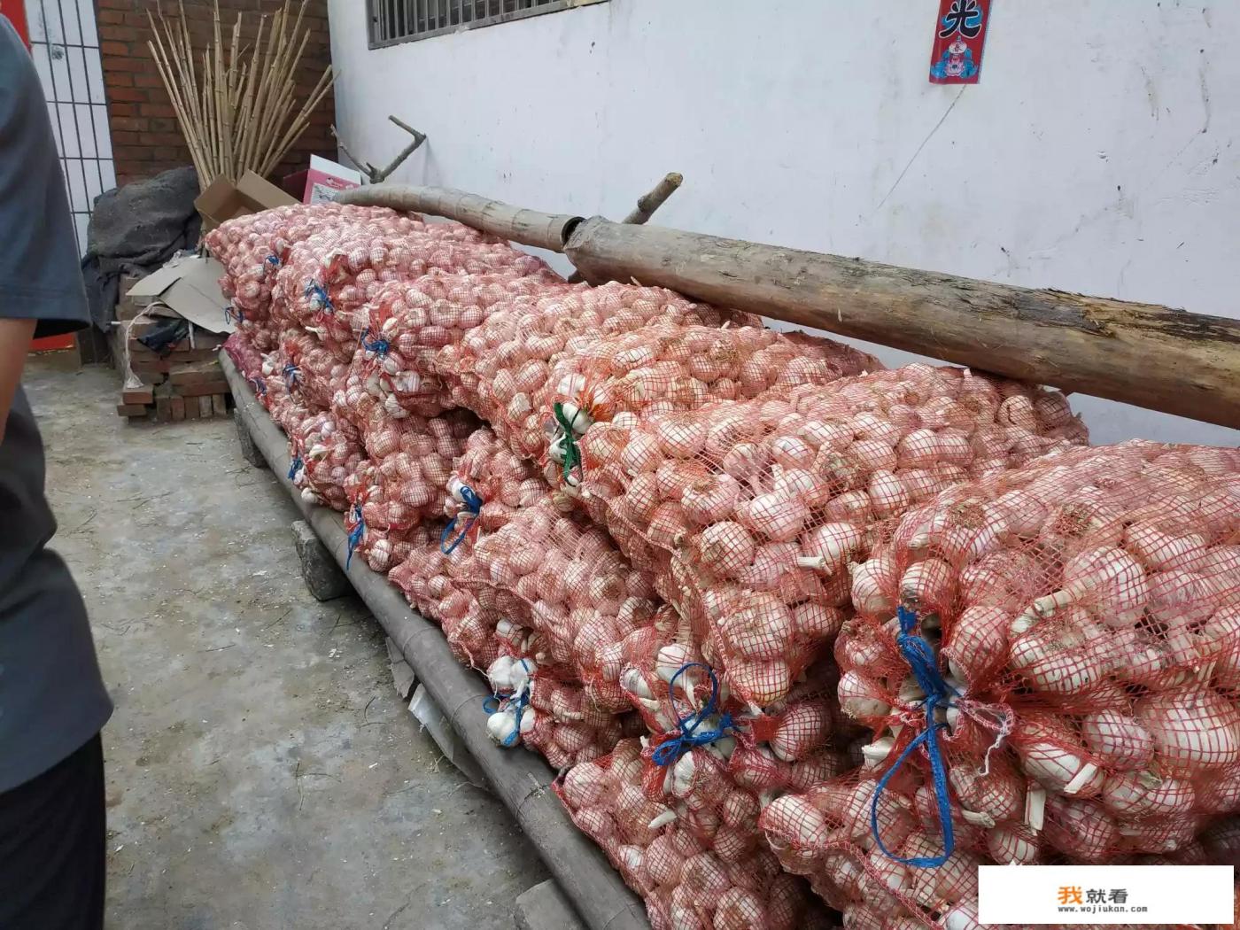 现在大蒜价格不错，今后几个月大蒜行情会怎样？