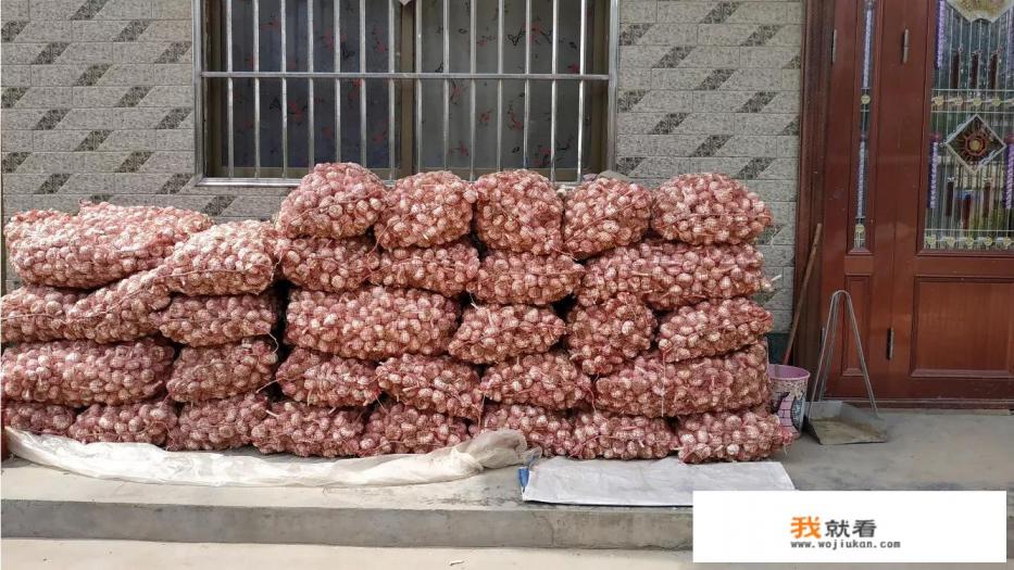 现在大蒜价格不错，今后几个月大蒜行情会怎样？