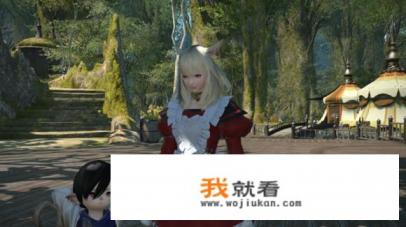 有哪些好玩的PC端大型MMORPG游戏呢？