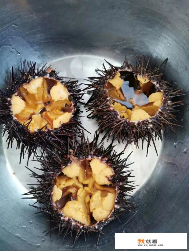 海胆有哪些并不常见但非常美味的做法？