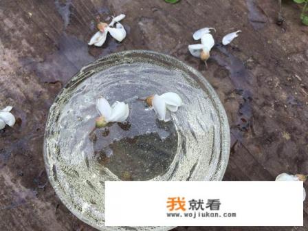 蜂蜜小蛋糕是怎么做的？