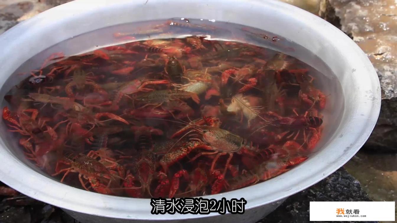 如何清洗龙虾？
