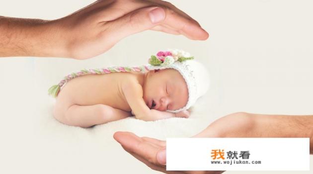 木瓜牛奶汤有比例吗？