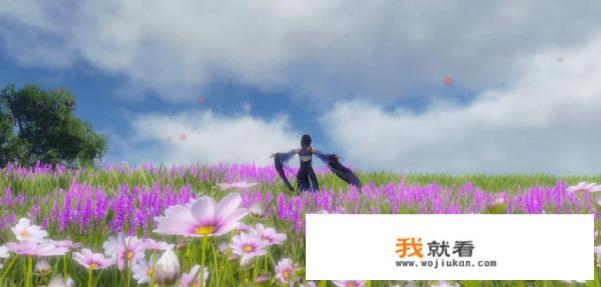 各位大佬推荐个网游，社交方面比较好的？