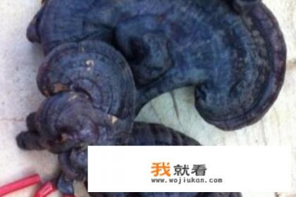 皂角洗发膏怎么熬制？