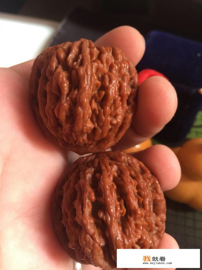 一般的把玩核桃多少钱？