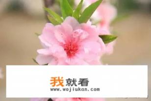上火嘴上起泡怎么办？