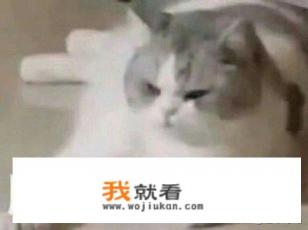 有没有建设大型城市的手机游戏？