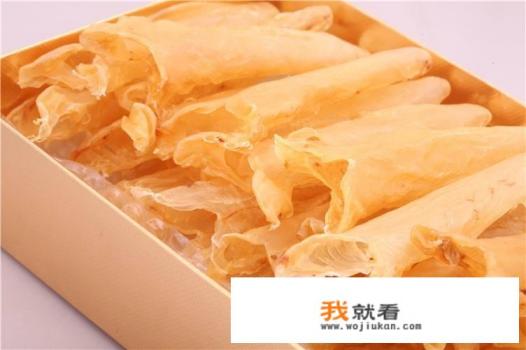 鱼胶是鱼的肥肉吗？