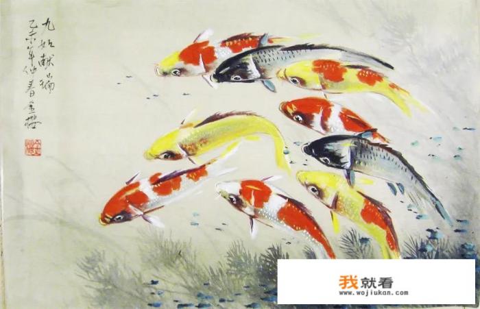什么样的锦鲤是虎皮锦鲤？