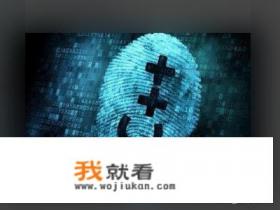 游戏编程入门？