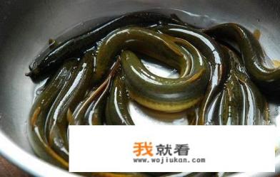 如何杀泥鳅？